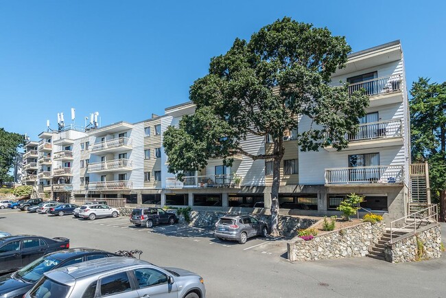 Building Photo - Macaulay North Apartments