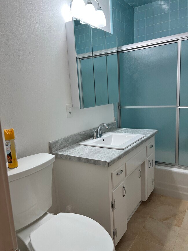 Bathroom - 435 Walnut St