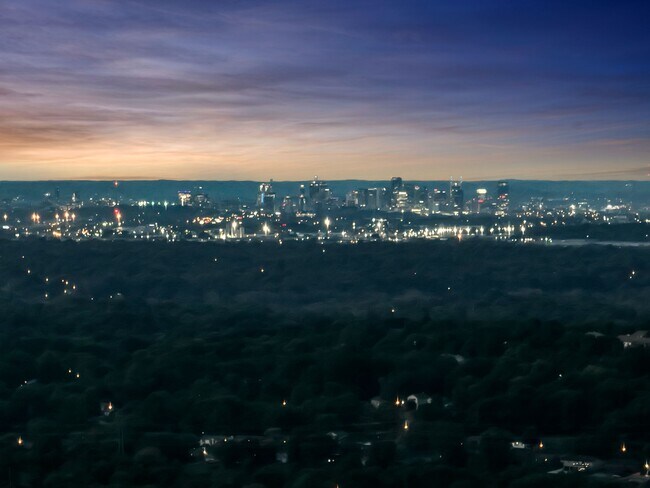 downtown view at night - 1604 Boxwood Dr