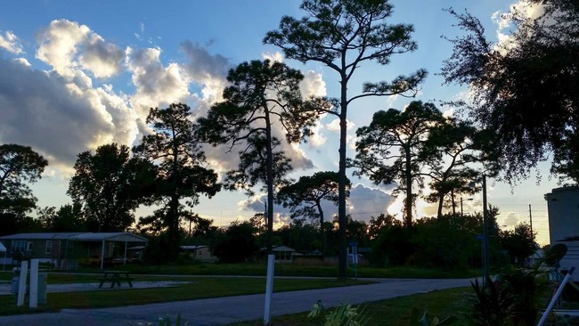 Building Photo - Mill Creek MH & RV Resort