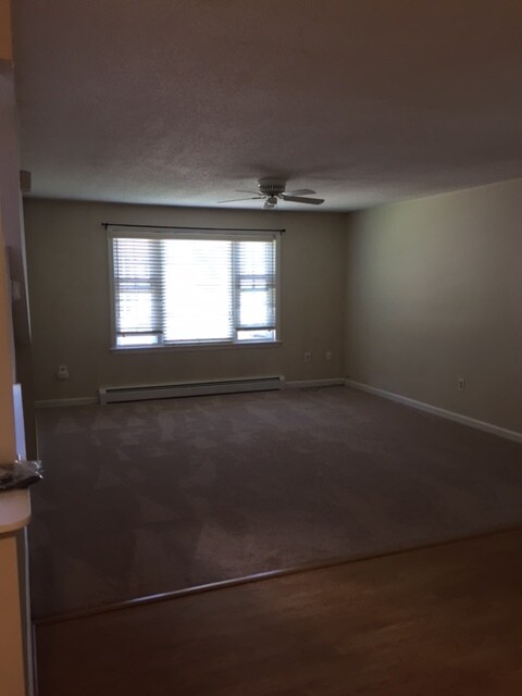 Living Room - 406 Springbrook Cir