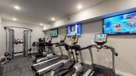 Located at 1525-1541 N High St in Columbus, Ohio, this well-appointed fitness center offers a thorough workout experience across a single, thoughtfully organized floor. The space is finished with patterned, multi-toned carpet tiles in shades of blue, gray, and green, lending a modern aesthetic throughout.

The cardio zone features a row of True-brand treadmills and elliptical machines, each positioned in front of wall-mounted flat-screen televisions, allowing users to stay entertained during their workouts. A dedicated strength training area houses a dual-cable functional trainer, selectorized weight machines, and a full rack of dumbbells arranged on a storage unit. Medicine balls and additional free-weight accessories are neatly organized along the perimeter.

Ceiling fans provide air circulation across the main workout floor, complemented by recessed lighting for consistent illumination. A textured navy accent wall adds a visual focal point to one section of the room, while bold, colorful portrait artwork adorns the walls, adding a distinctive, energetic character to the space. A wooden bench near the entrance provides a convenient spot for transitions.

Glass doors connect the fitness center to an adjacent lounge or common area, visible through the partition, enhancing the sense of openness. An open shelving unit near the entrance offers storage for towels and water bottles, supporting a complete and convenient fitness experience.