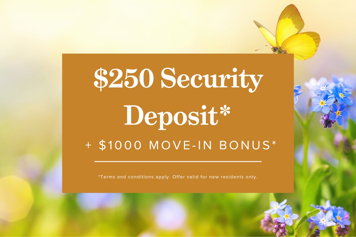 Apartments Apartment for Rent in Victoria, BC