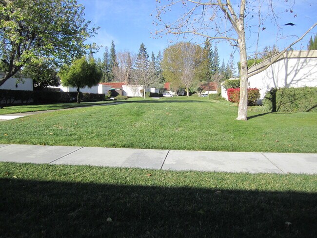 Building Photo - 8059 Park Villa Cir