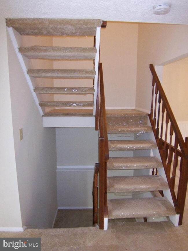 Building Photo - 3115 Holly Berry Ct