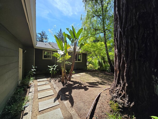 Foto del edificio - Large and stunning home in rural Sebastopol!