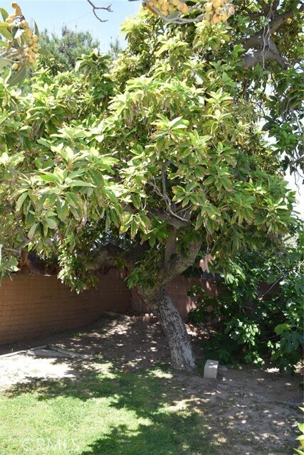 Building Photo - 1125 E Oakmont Ave