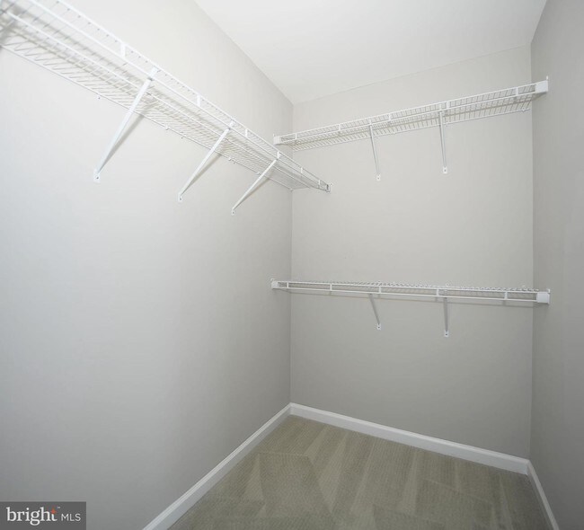 Foto del edificio - 8233 Secluded Cove Ln