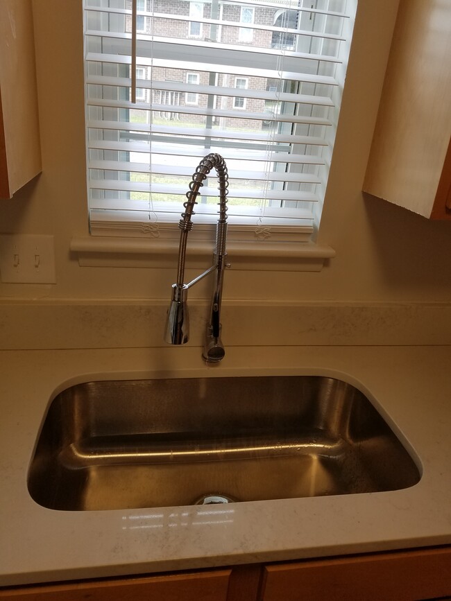 New sink and quartz counters - 21 Rivers Point Row