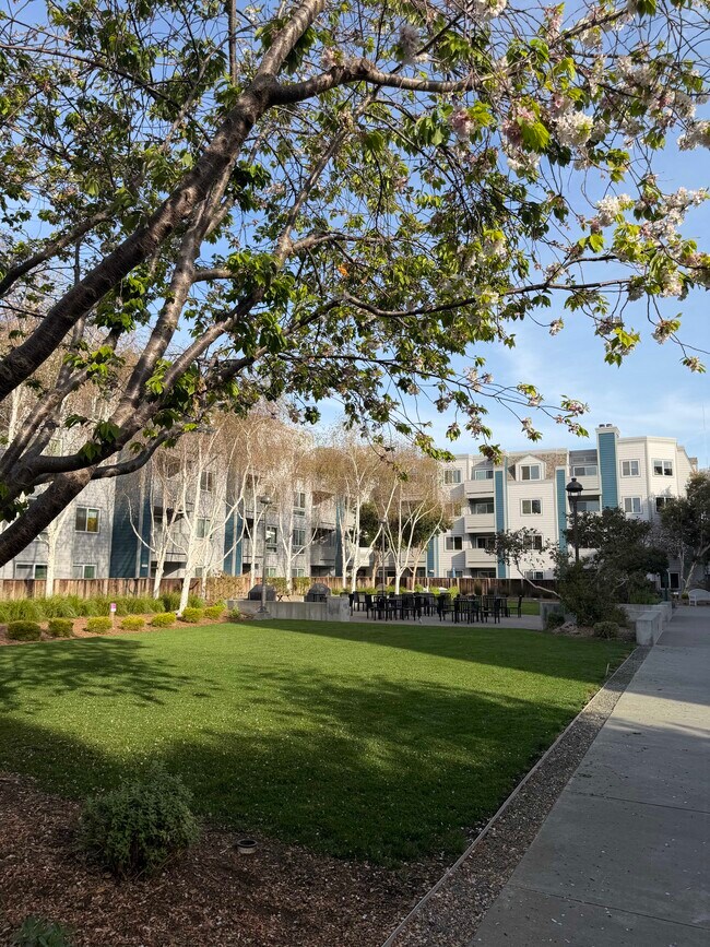 Foto del edificio - 6400 Christie Ave