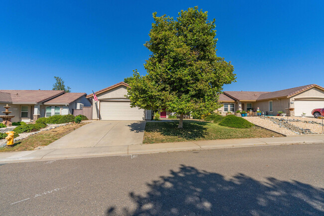 Foto del edificio - 115 Callaway Ln