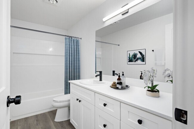 Interior Photo - Rai Apartments