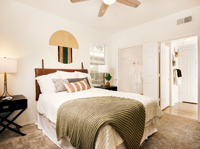 Building Photo - The Boulevard at Sonterra