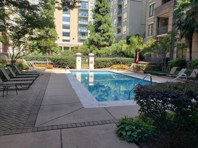 Foto del edificio - Delightful 2 Bedroom 2 Bath Condo Downtown...