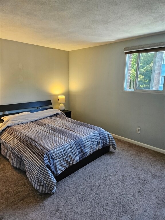 Foto del edificio - 8 Woodcrest Ct