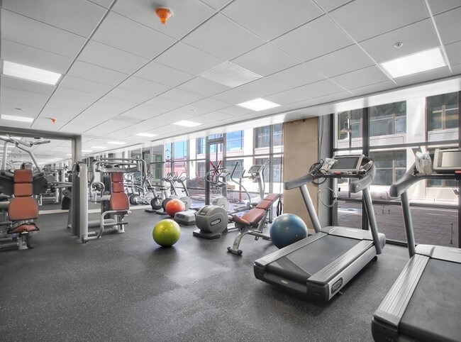 Gimnasio - The Bond