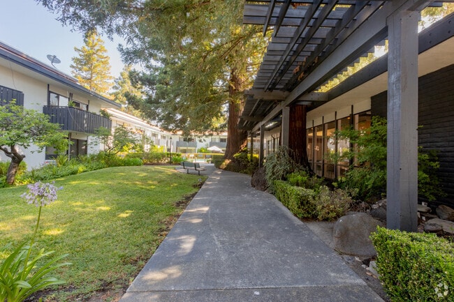 Courtyard - The Laurel at Mountain View