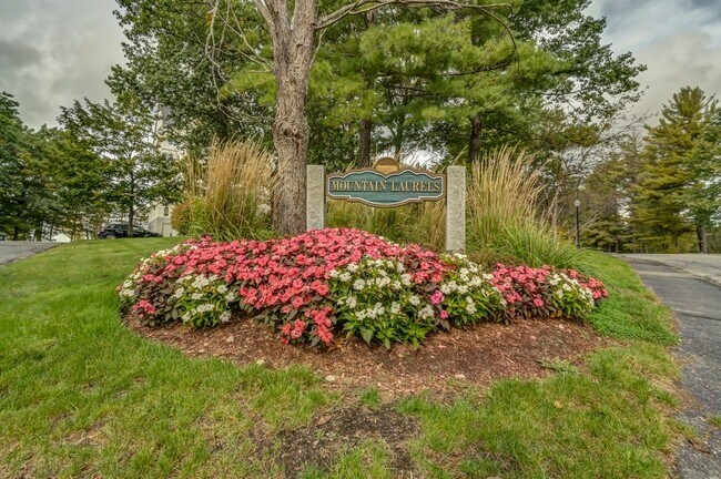 Foto del edificio - 10 Mountain Laurels Dr