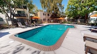 Located at 2721 Midtown Ct in Palo Alto, California, this outdoor amenity space centers around a generously sized, freeform swimming pool with clear turquoise water. The pool is framed by a wide, light-colored concrete sun deck that provides ample space for lounging and outdoor furniture. Multiple seating areas are arranged around the deck, each shaded by vibrant orange patio umbrellas paired with chairs and tables, offering comfortable spots to relax in California's sunny climate. The pool area is enclosed by a black metal fence, providing both safety and a clean visual boundary. Towering weeping birch trees and tall palms rise throughout the space, casting dappled shade and adding a lush, verdant atmosphere to the setting. Surrounding multi-story buildings with balconies overlook the pool, integrating the outdoor space seamlessly within the larger residential community. Ornamental plantings and manicured greenery along the fence line and walkways add additional color and texture. The overall ambiance is bright, open, and resort-like, well-suited to the temperate climate of the San Francisco Bay Area.