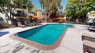 Located at 2721 Midtown Ct in Palo Alto, California, this outdoor amenity space centers around a generously sized, freeform swimming pool with clear turquoise water. The pool is framed by a wide, light-colored concrete sun deck that provides ample space for lounging and outdoor furniture. Multiple seating areas are arranged around the deck, each shaded by vibrant orange patio umbrellas paired with chairs and tables, offering comfortable spots to relax in California's sunny climate. The pool area is enclosed by a black metal fence, providing both safety and a clean visual boundary. Towering weeping birch trees and tall palms rise throughout the space, casting dappled shade and adding a lush, verdant atmosphere to the setting. Surrounding multi-story buildings with balconies overlook the pool, integrating the outdoor space seamlessly within the larger residential community. Ornamental plantings and manicured greenery along the fence line and walkways add additional color and texture. The overall ambiance is bright, open, and resort-like, well-suited to the temperate climate of the San Francisco Bay Area.