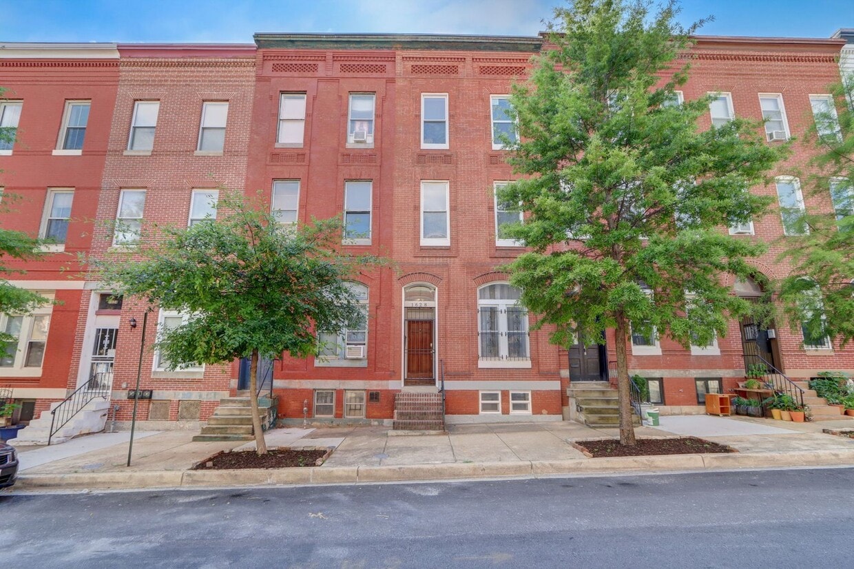 Bright 1BR 1BA Renovated Apartment - Bright 1BR 1BA Renovated Apartment