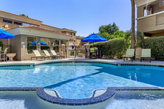 Piscina - La Terraza at the Biltmore