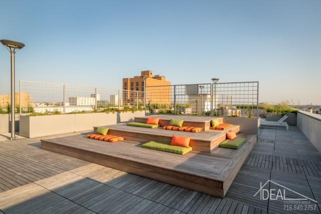 Foto del edificio - bedroom in brooklyn NY 11226