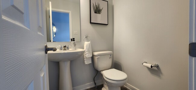 Powder Room - 231 Billrian Cres