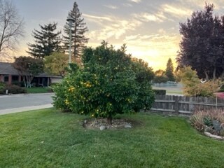 Building Photo - 6 Healdsburg Ct