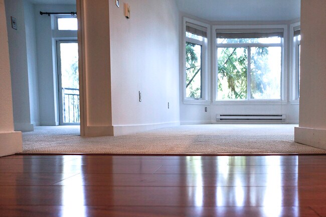 bedroom / living room - 2415 2nd Ave
