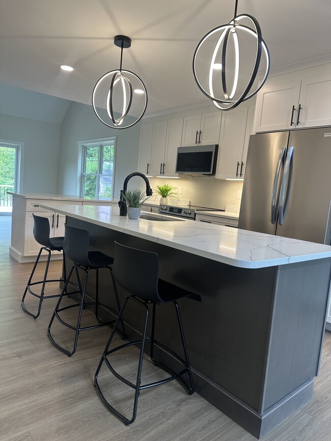 Beautiful quartz counter, brand new appliances, new cabinets. - 29 Liberty St