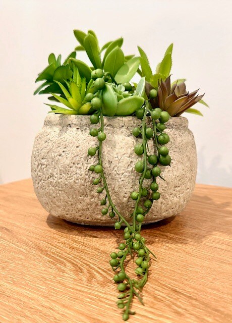 Foto del edificio - 508 Light Oak Way