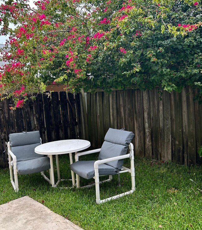 Outdoor Patio - 347 Elm St