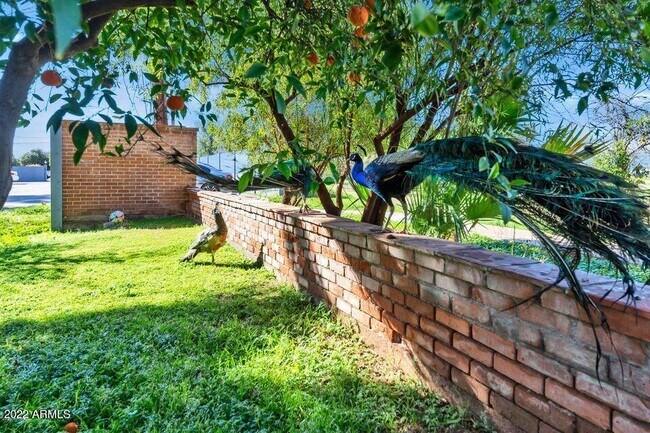 Foto del edificio - 4004 E McKellips Rd