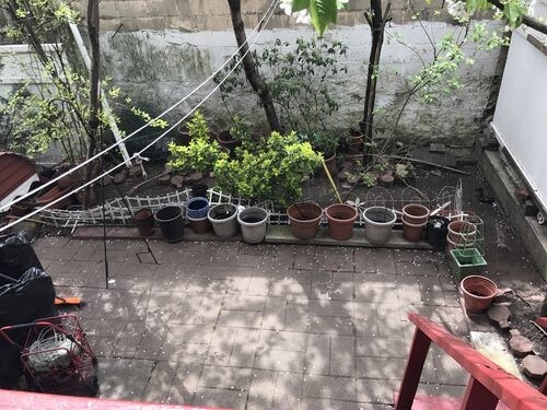 Building Photo - 1217 31st Dr