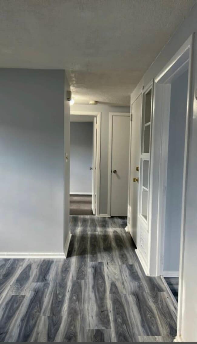 Foto del edificio - 101 Lily St