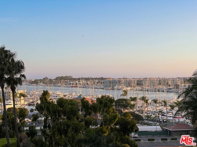 Building Photo - 13650 Marina Pointe Dr