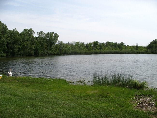 Building Photo - Hawk Lake Apartments & Townhomes