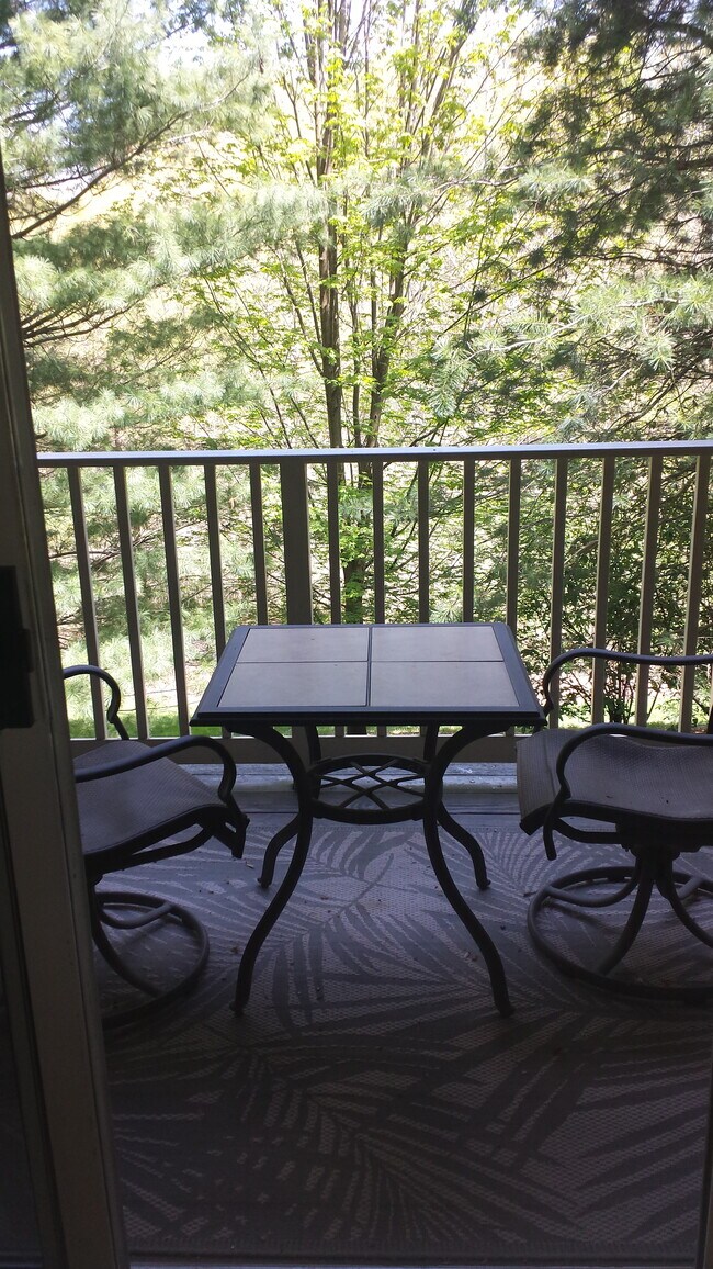 105 Timberbrook Ln Unit 102, Gaithersburg, MD 20878 Condo for Rent in