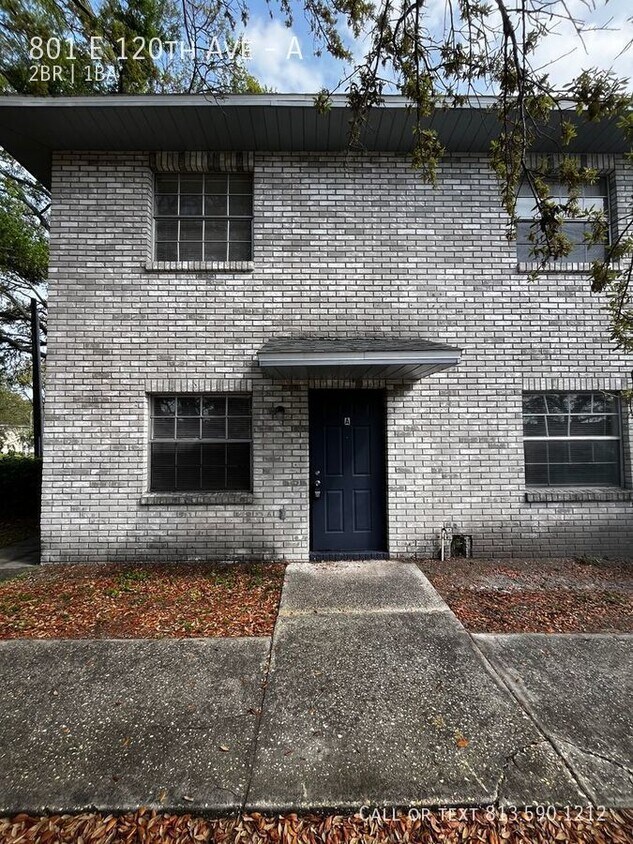 Primary Photo - Cozy Tampa Apartment