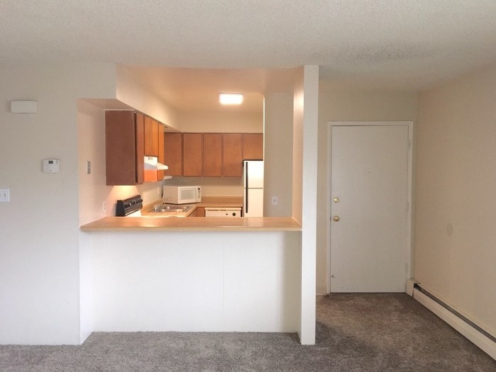 NW Reno 2 Bedroom Apartment Cat Friendly Apartment for Rent in Reno