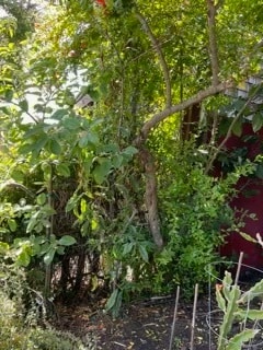 Primary Photo - 450 60th St