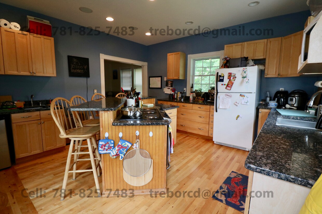 199 Main St - Unit 1 - kitchen - 199 Main St