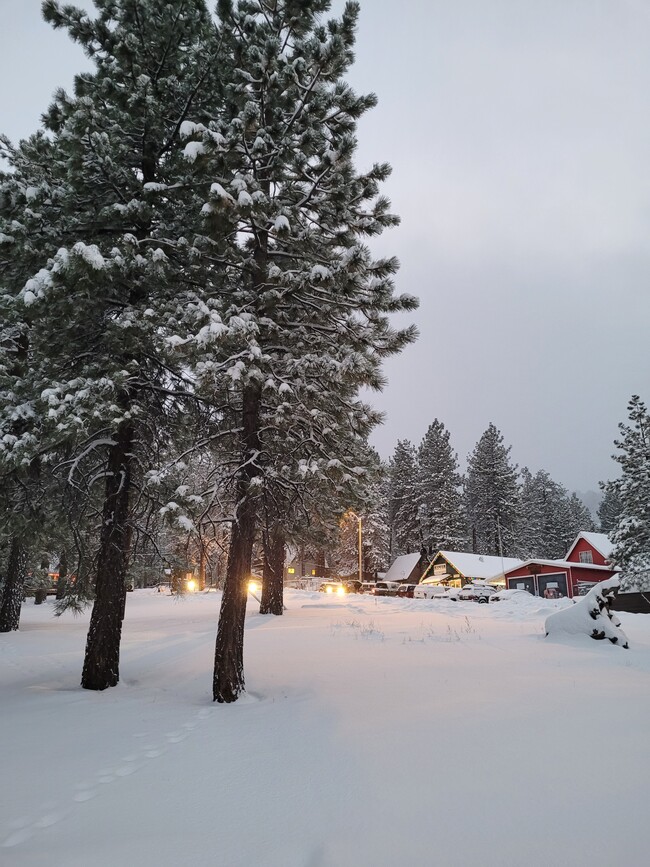 Neighborhood area with snow - 1357 Ross St