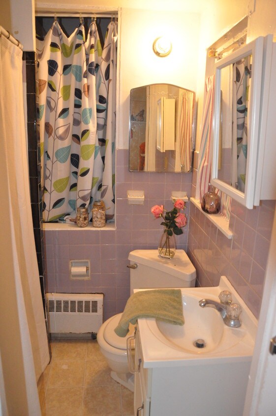 Baño - 715 Triphammer Rd