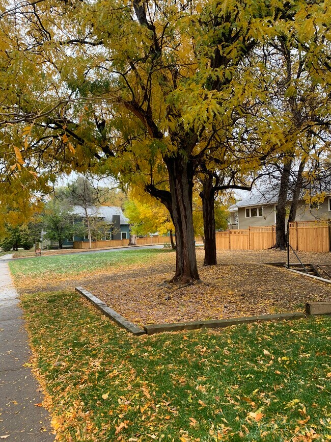 Patio - 705 Maple St