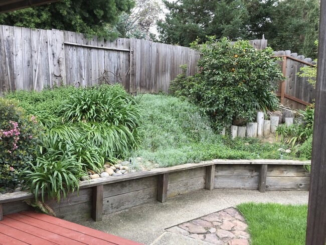 Shared backyard - 2529 Holly View Dr