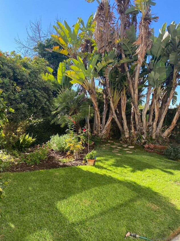 5037 Maynard St, San Diego, CA 92122 House for Rent in San Diego, CA