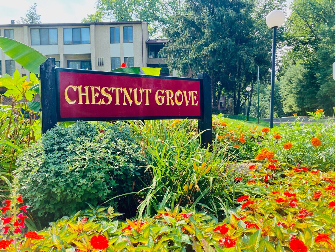 11717 Aspen Way Unit 117, Doylestown, PA 18901 Condo for Rent in