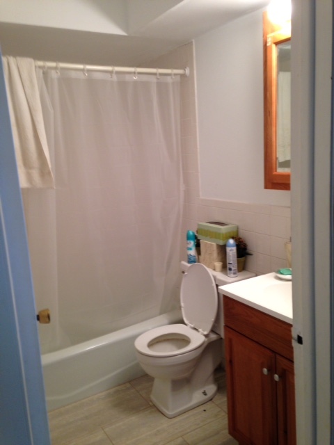 A Bathroom in the Building - 731 Old Grand Ave